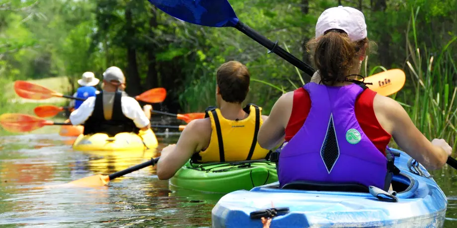 Guided Kayak Tour