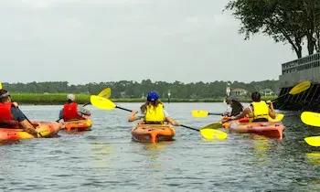 Guided Kayak Tour with Helen Ashton