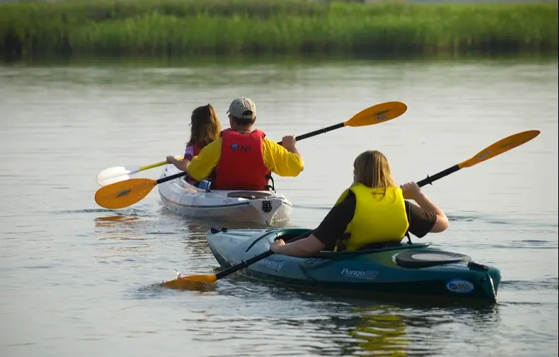 2-Hour Guided Kayak Nature Tour - HOLIDAY FLASH SALE