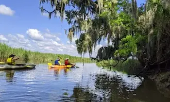 PB Private Outback Excursion - 6 passenger