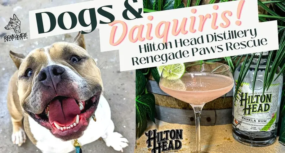 Dogs & Daiquiris! - 2/11/23