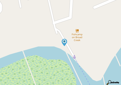 Family Shark Fishing & Dolphin Tours 3 map location