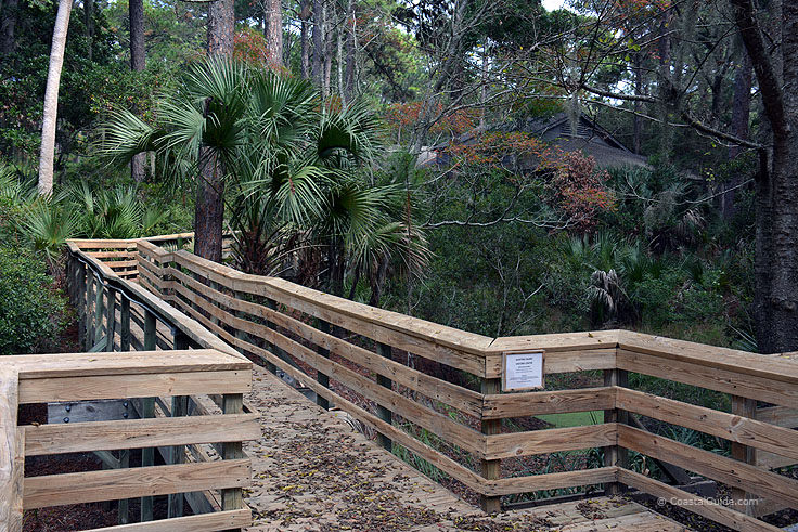 Elevated walkway to Hunting island State Park.