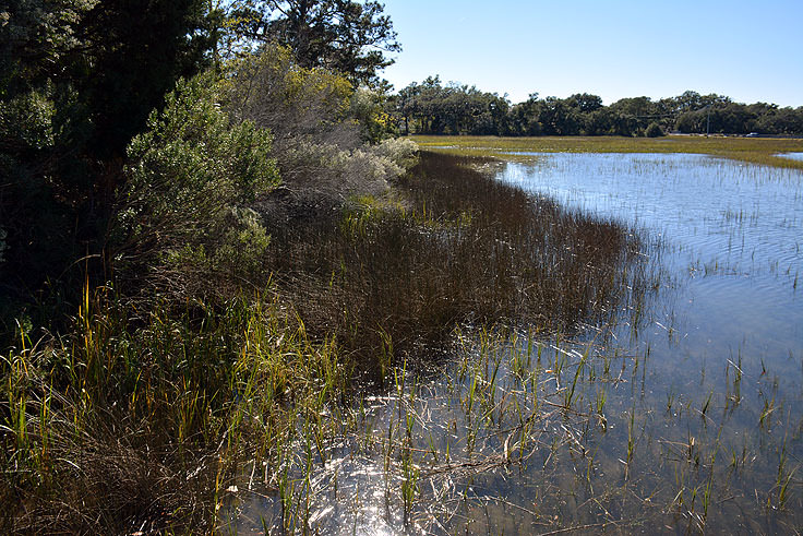 Waterfront at the Coastal Discovery Museum in Hilton Head, SC