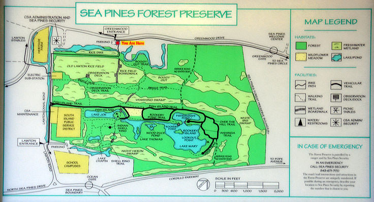 Sea Pines Forest Preserve in Hilton Head, SC
