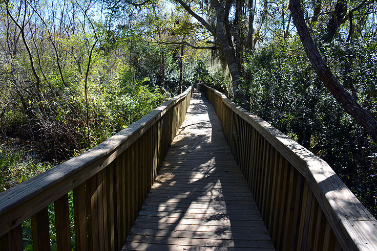 An elevated walkway at Sea Pines Forest Preserve in Hilton Head, SC