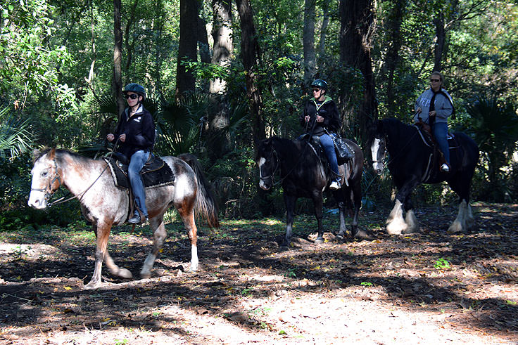Horse rides through Sea Pines Forest Preserve in Hilton Head, SC