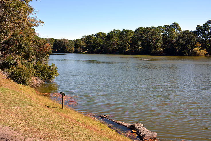 Watch for alligators at Sea Pines Forest Preserve in Hilton Head, SC