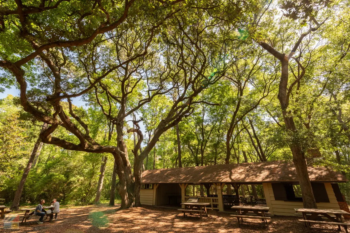 Myrtle Beach State Park