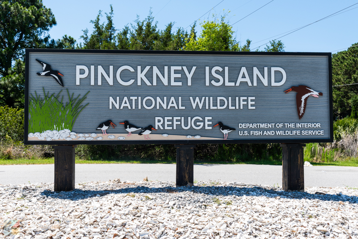 Pinckney Island Hilton wildlife Reserve Hilton Head SC