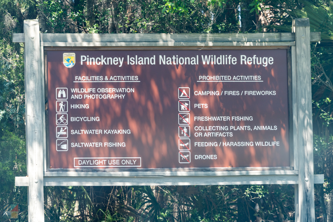Pinckney Island Hilton wildlife Reserve Hilton Head SC