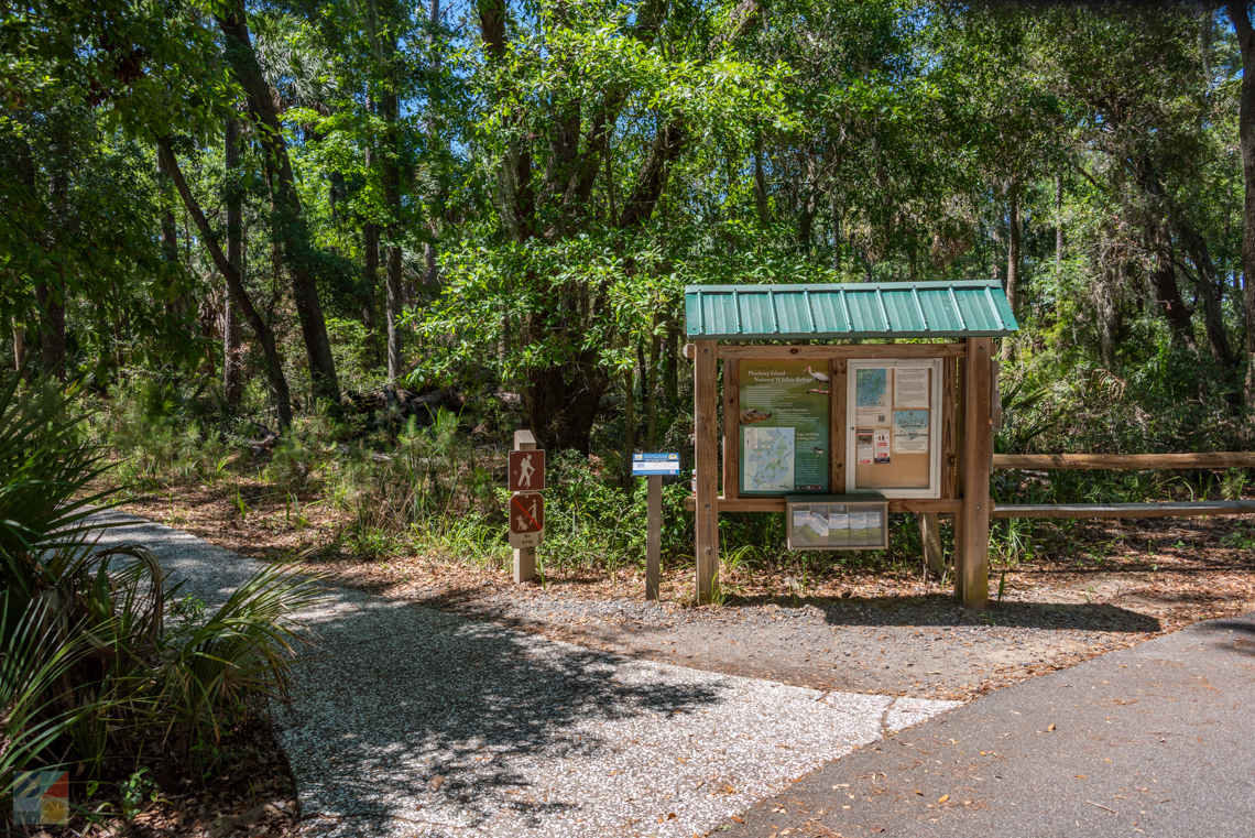 Pinckney Island Hilton wildlife Reserve Hilton Head SC