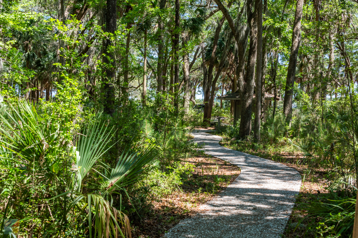 Pinckney Island Hilton wildlife Reserve Hilton Head SC
