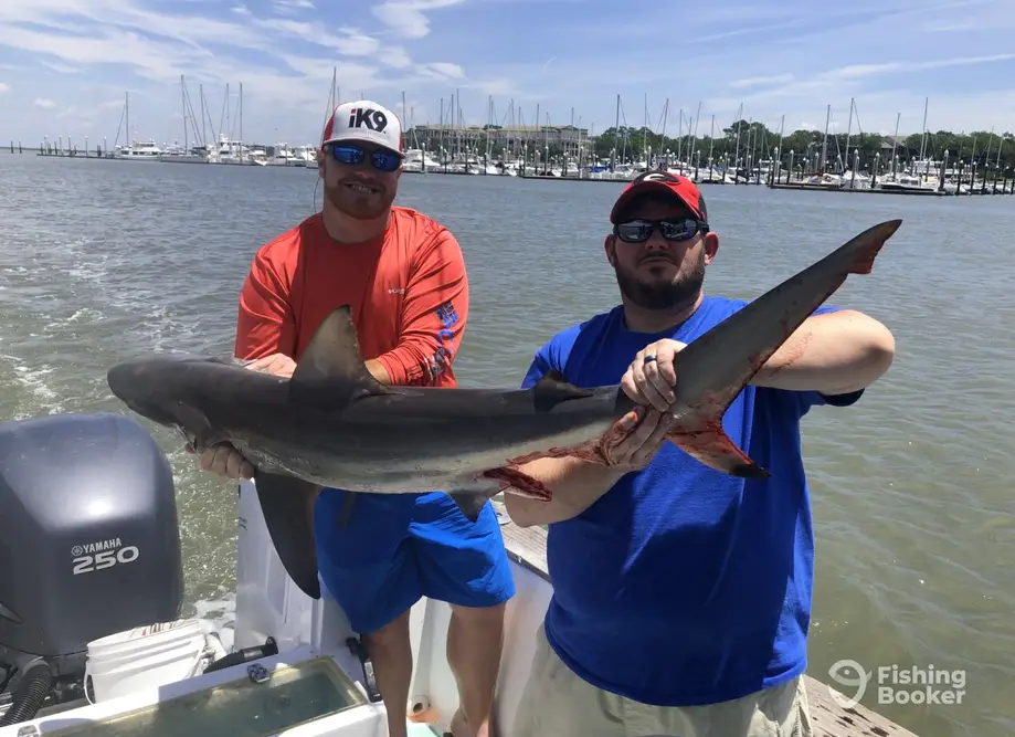 Black Dog Fishing Charters charter image 3
