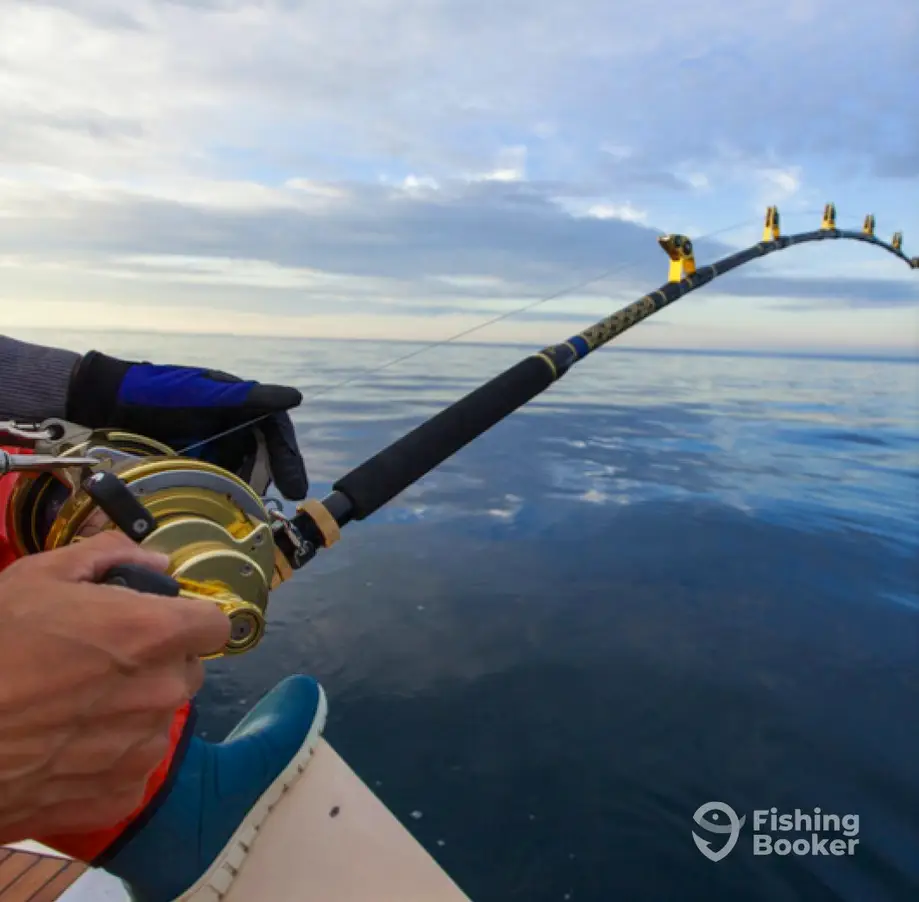 Black Dog Fishing Charters charter image 5