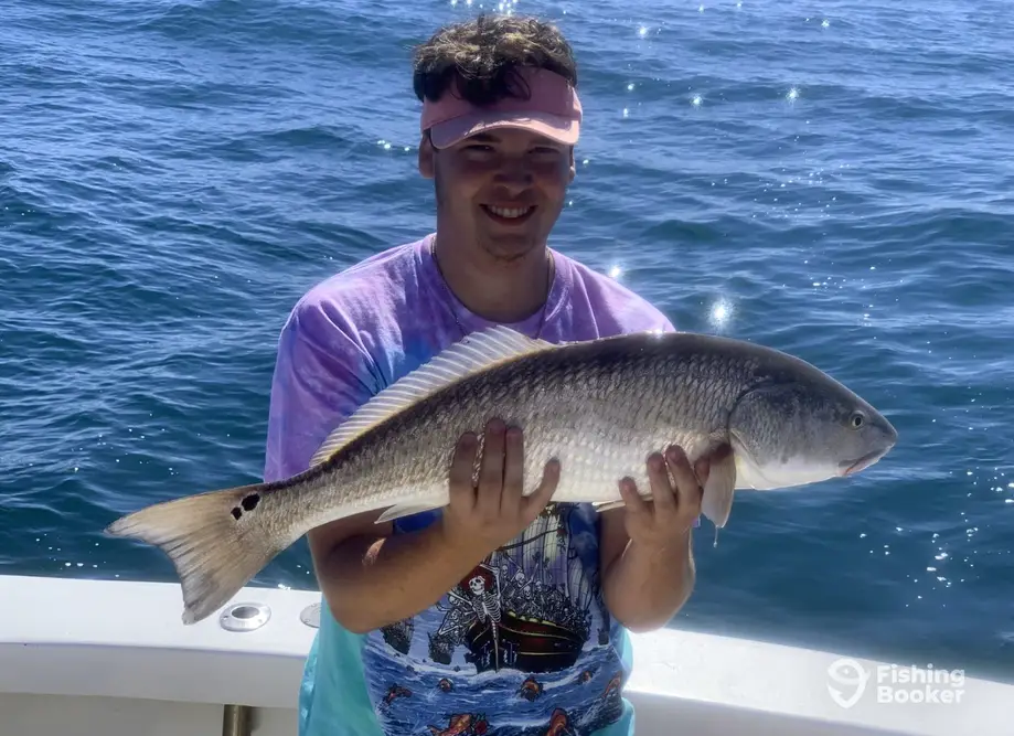 Carolina Rig charter image 4