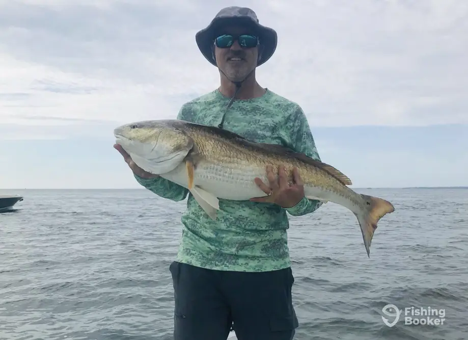 Sonrise Fishing Charters charter image 4