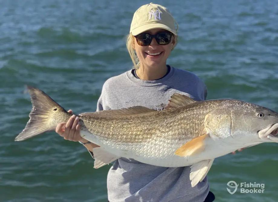 Offshore Bottom Fishing  Hiton Head Fishing Adventures