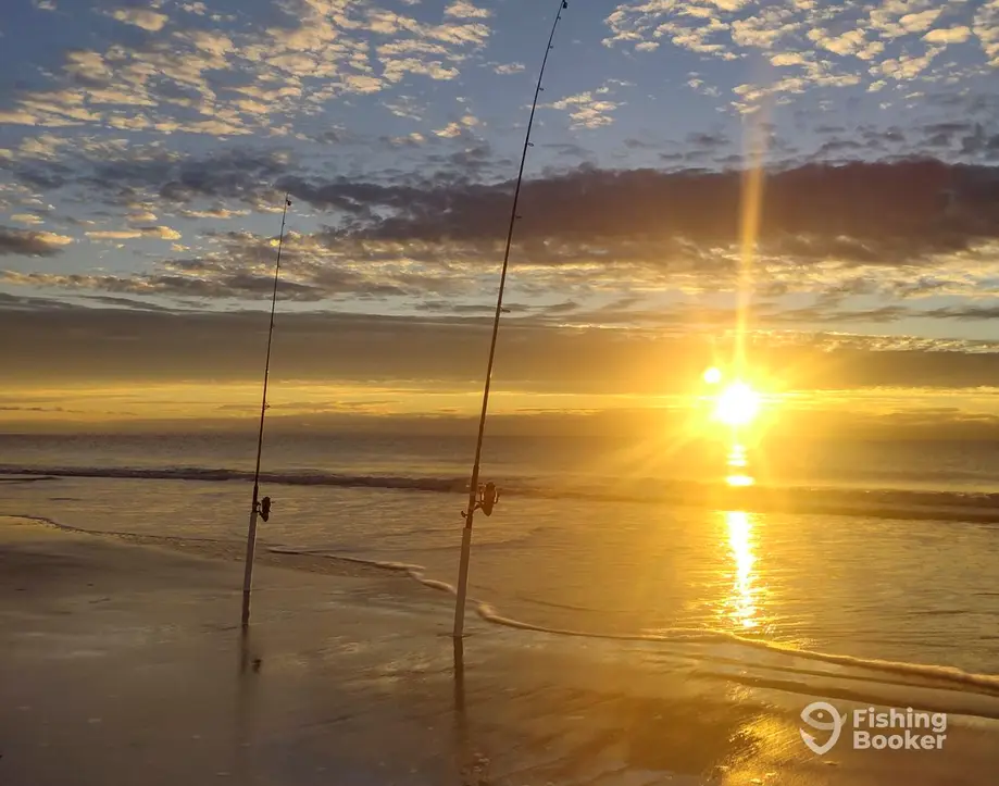 Salty Leprechaun Surf Fishing charter image 2