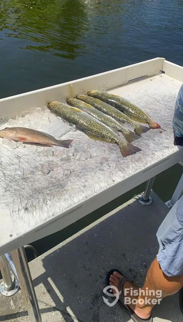 Shallow Water Guide Service charter image 5