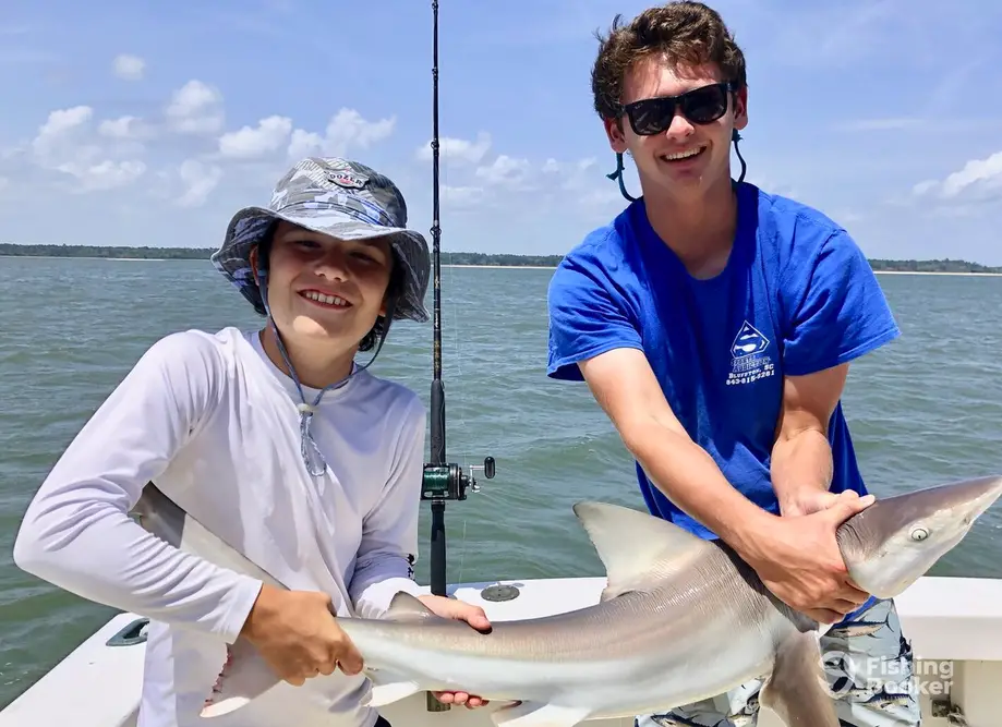 Drifter Excursions – Hobo