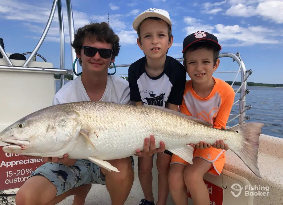 Drifter Excursions – Hobo charter image 2