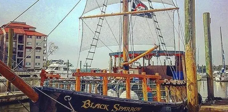 Pirate Ship Dolphin Tour