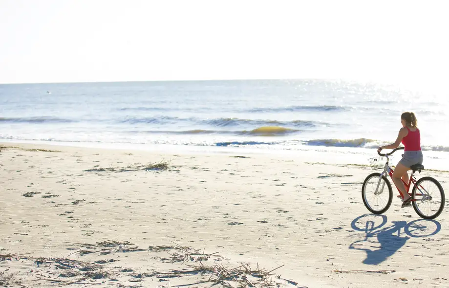 Two Month Bike Rental