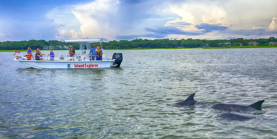 Dolphin Encounter - Two Hour
