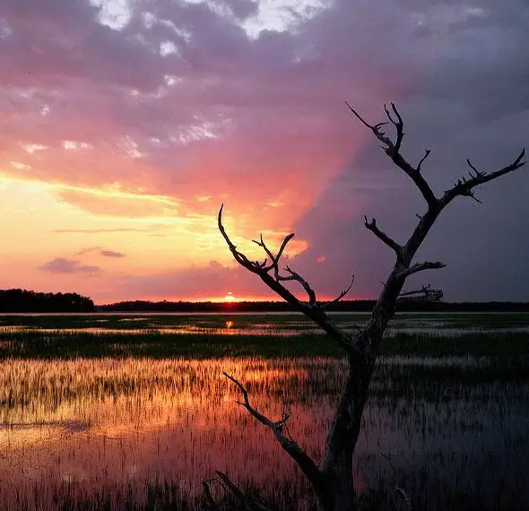 Sunset Dolphin Cruise