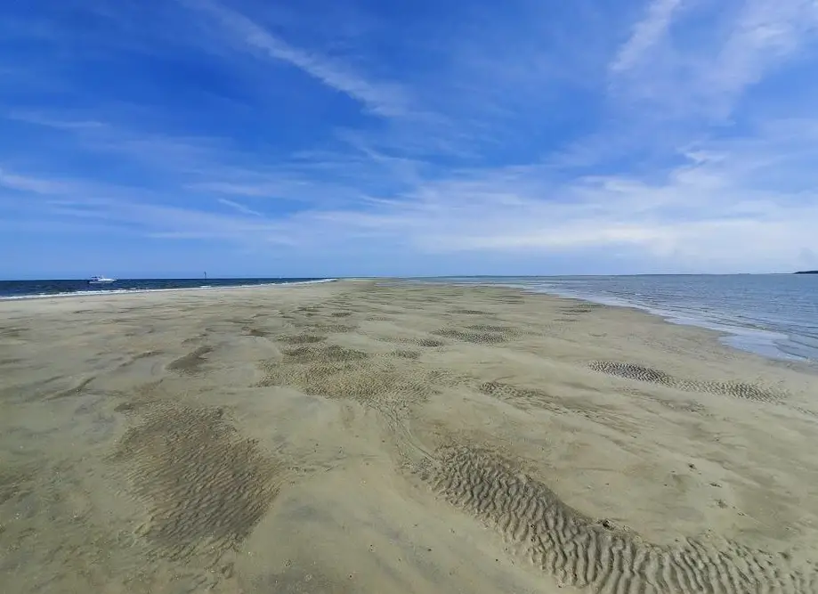 Beachcombing on 