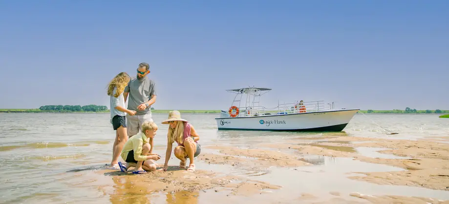 PVT Vanishing Island Beachcombing 6p