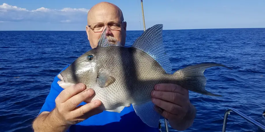 Seven Hour Private Offshore Charter