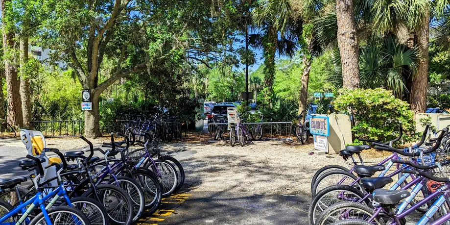 3 Day Rental (Walk Up)