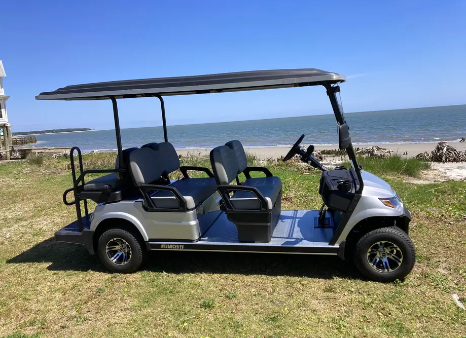 Nightly Rental.   Premium 6 Passenger Electric 