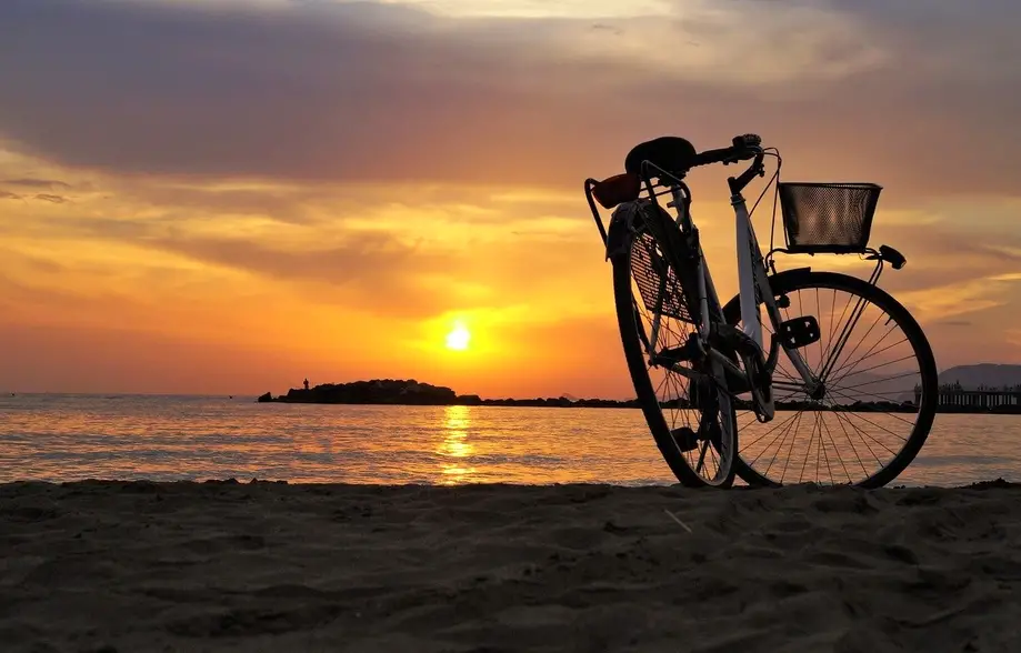One Month Bicycle Rentals