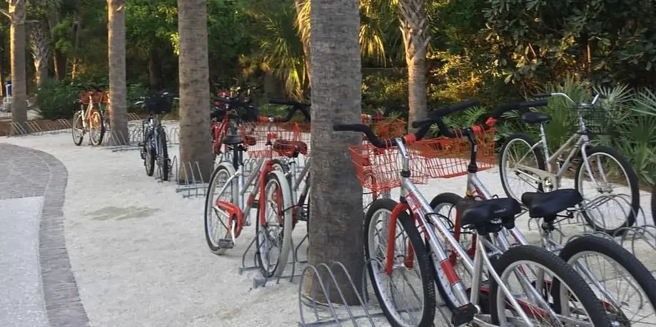 11 Day Rental (Walk Up)