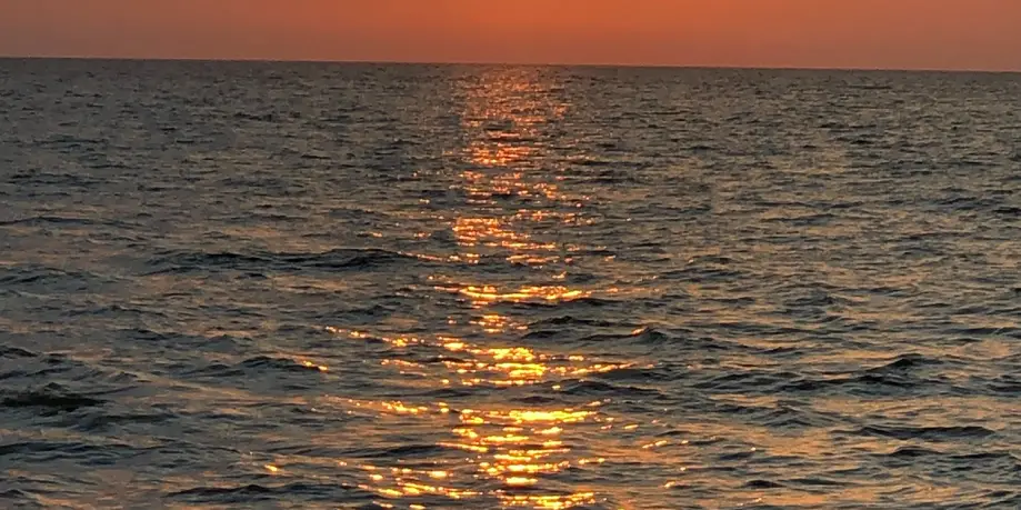 13 Day Rental (Walk Up)