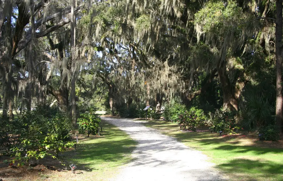 Director's Walk