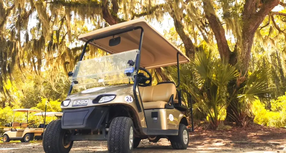 Daily Golf Cart Rental.  E-Z Go 4 Passenger Gas Golf Cart.  Pick up and drop off at the Daufuskie Island Boat Landing (County Dock)