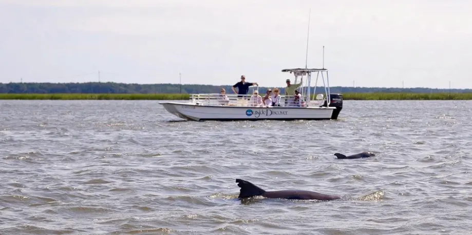 Disney's Dolphin Eco Cruise