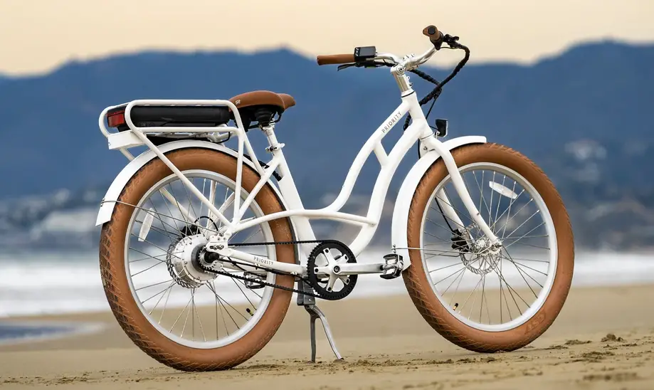 Eight Day Electric Bike Rental