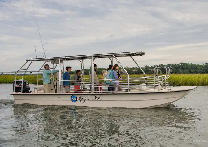 Dolphin Eco Tour - HOLIDAY FLASH SALE