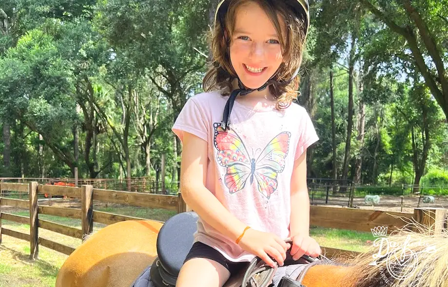 Pony Rides