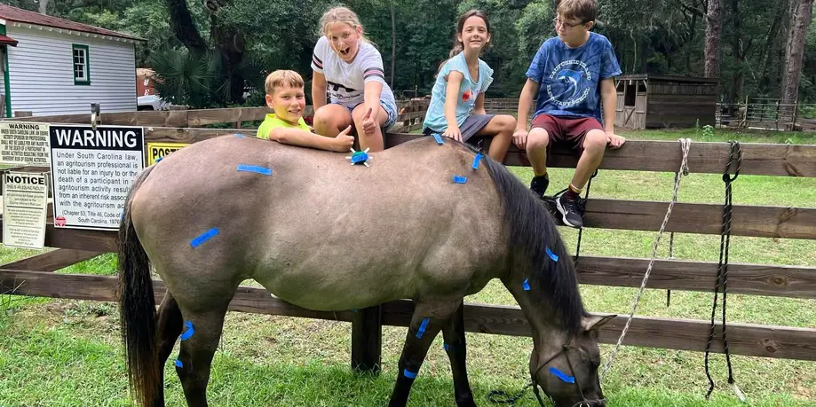 Day Camp Sessions