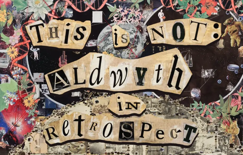 This is Not: Aldwyth in Retrospect Gallery Tour