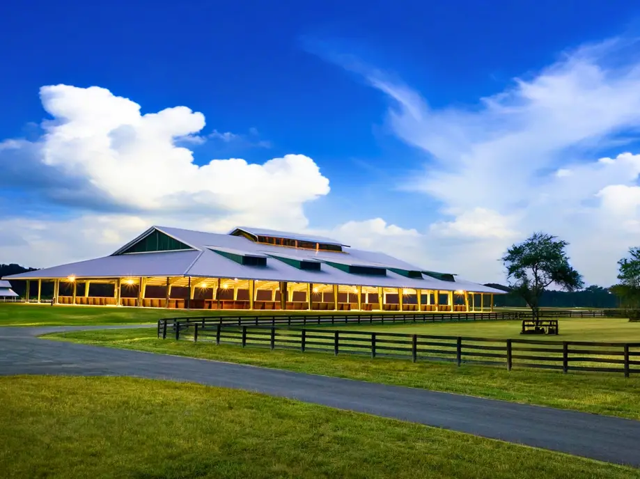 Equestrian Lessons - Palmetto Bluff Members