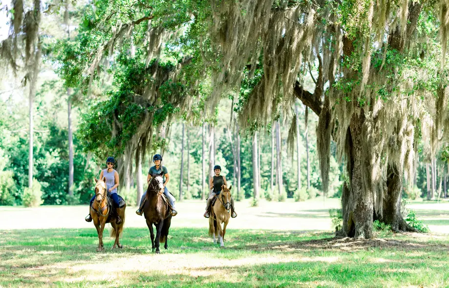 Trail Rides Experience - Montage Guests