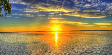 Sunrise Dolphin Tour