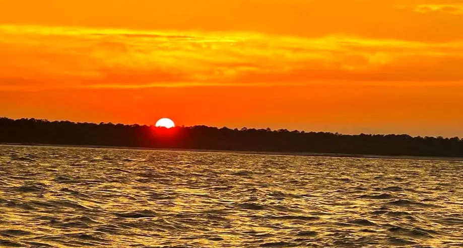 Sip & Sunset - BYOB Adults Only Dolphin Cruise